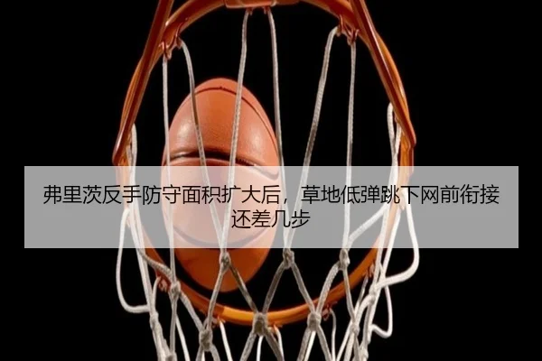 弗里茨反手防守面积扩大后，草地低弹跳下网前衔接还差几步